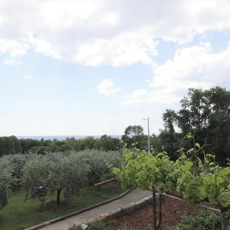 Graziella Casa de hóspedes Zambratija (Istria)