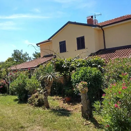 Graziella * Zambratija (Istria)