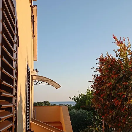 Graziella * Zambratija (Istria)